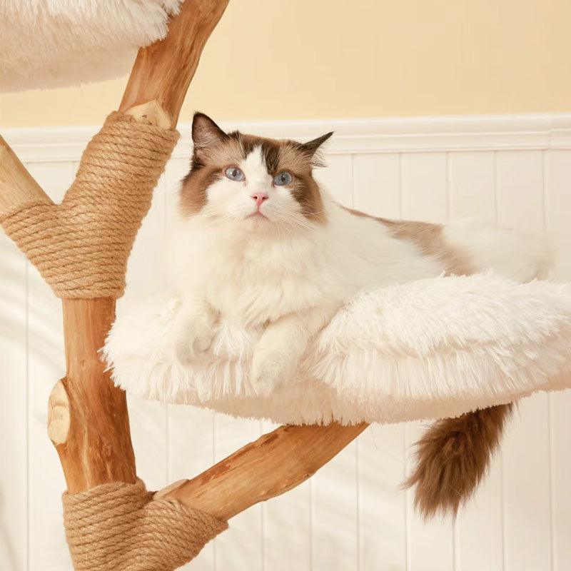 Arbre à chat en bois massif Nuages Deluxe, cadre d'escalade – vue 7