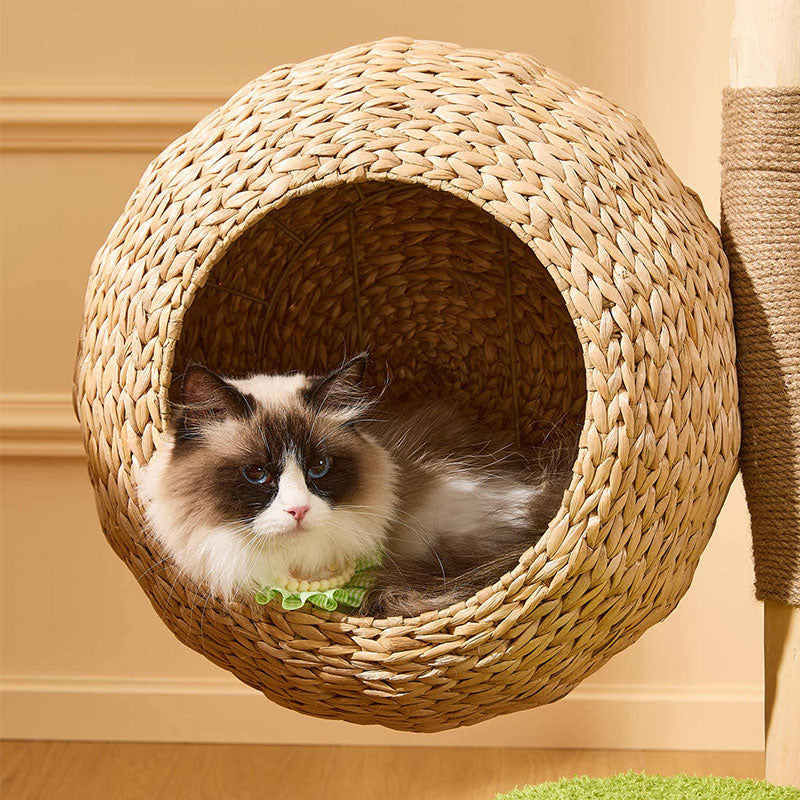 Arbre à chat d'escalade en bois massif Cocoteraie – vue 12