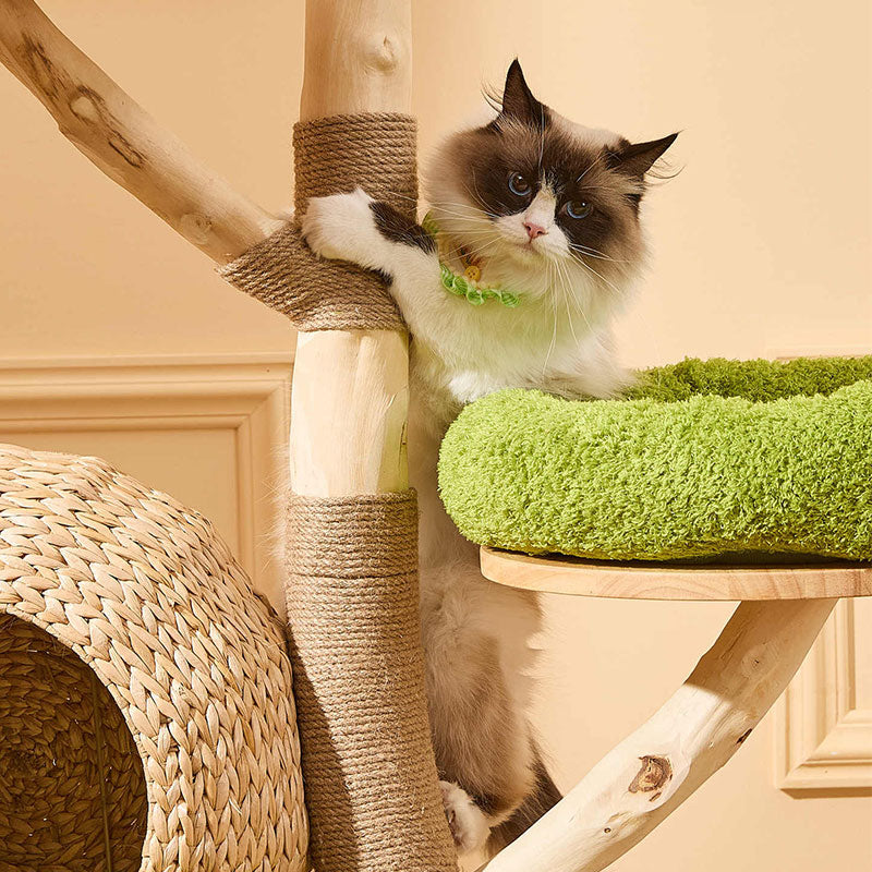 Arbre à chat d'escalade en bois massif Cocoteraie – vue 13