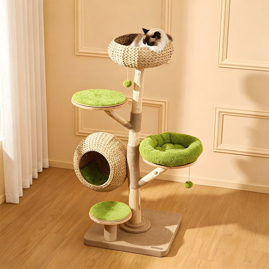 Arbre à chat d'escalade en bois massif Cocoteraie – vue 1