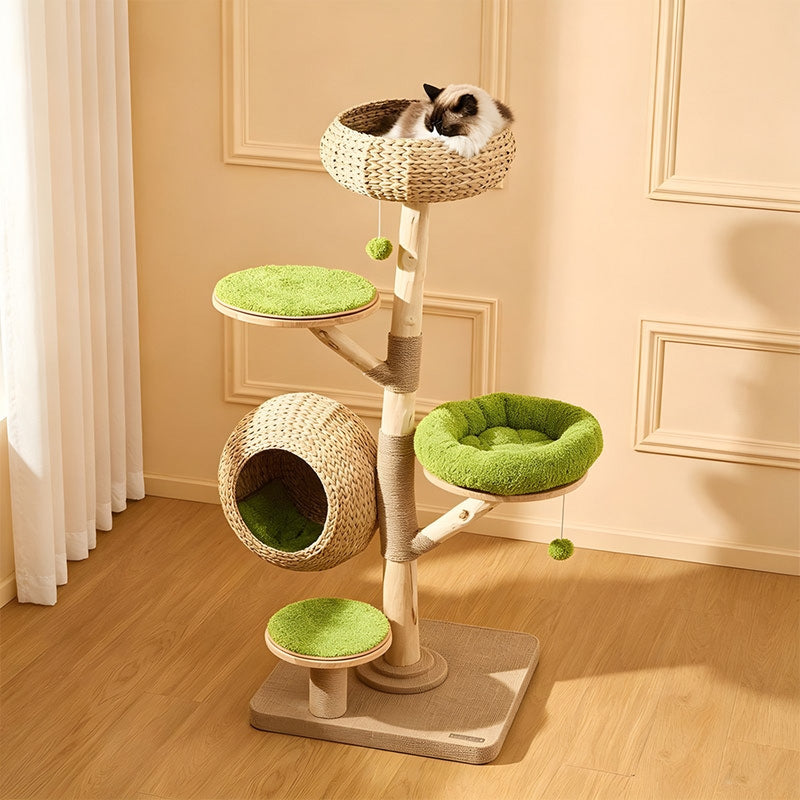 Arbre à chat d'escalade en bois massif Cocoteraie – vue 1