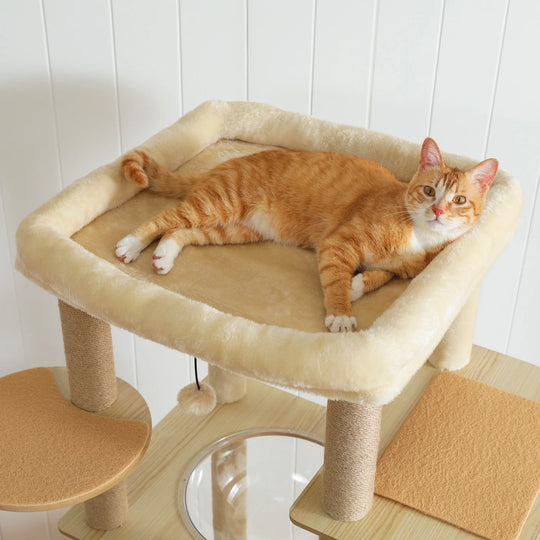 Arbre à chat d'escalade en bois clair, 2 capsules transparentes et plateau-sommet, 1,80 m, photo 2