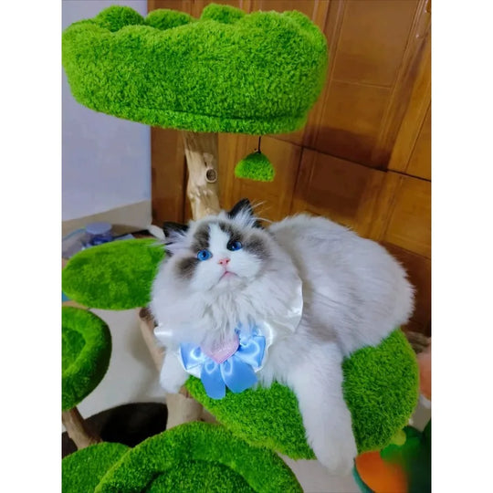 Arbre à chat d'escalade Arbre luxuriant en peluche verte, photo 1
