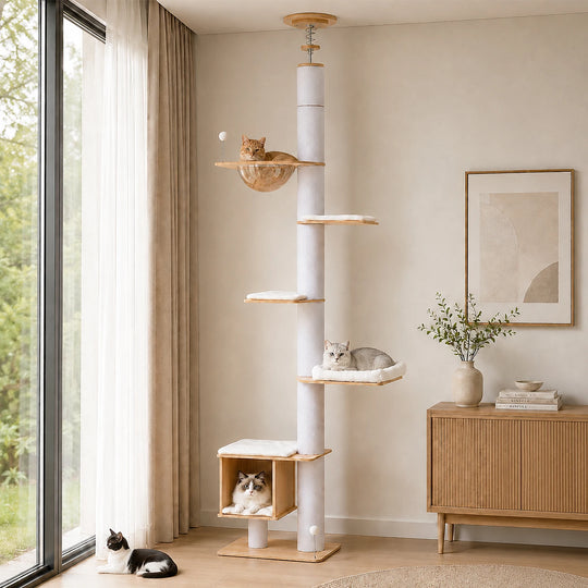Arbre à chat d'escalade sol-plafond blanc à 5 niveaux, bulle transparente et niche cube – vue 1