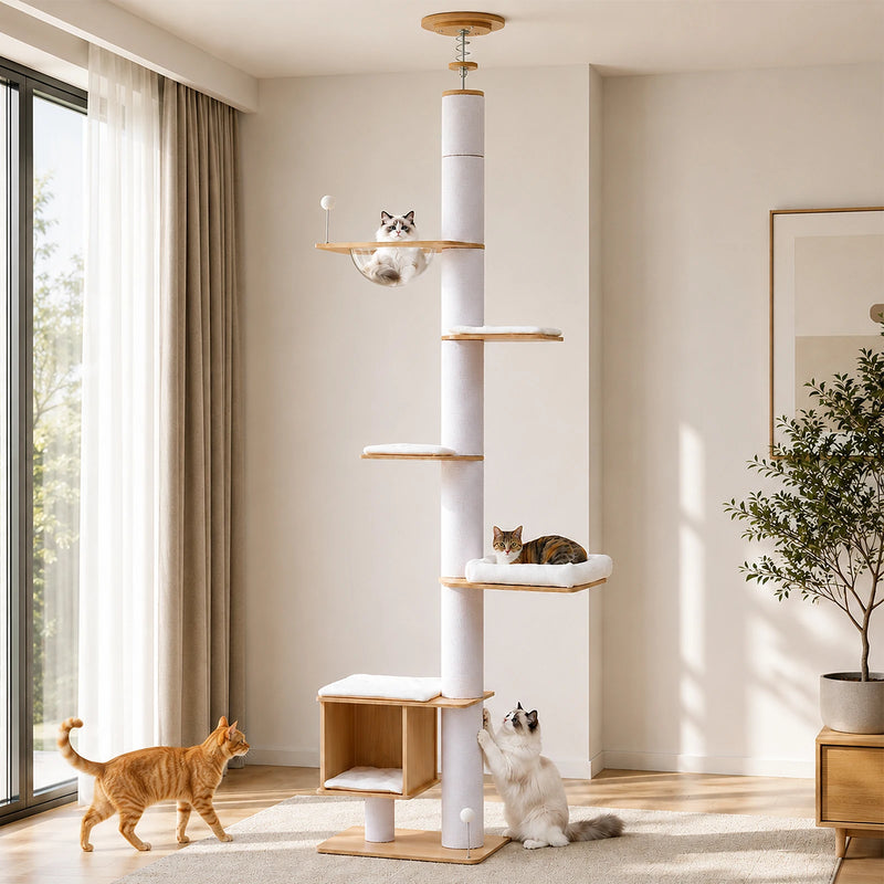 Arbre à chat d'escalade sol-plafond blanc à 5 niveaux, bulle transparente et niche cube – vue 2