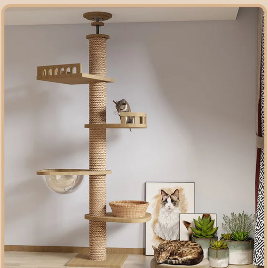 Arbre à chat d'escalade sol-plafond réglable en bois et sisal, photo 3