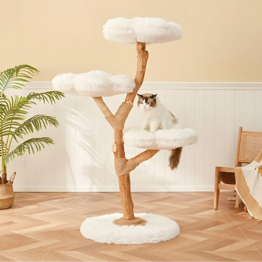 Arbre à chat en bois massif Nuages Deluxe, cadre d'escalade – vue 1