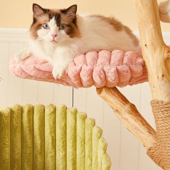 Grand cadre d'escalade pour chat Fleur, arbre à chat de luxe, photo 2